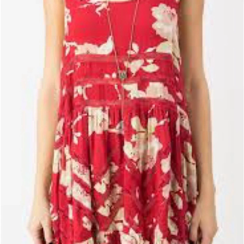 Free People Scarlet and Ivory Floral Mini Dress